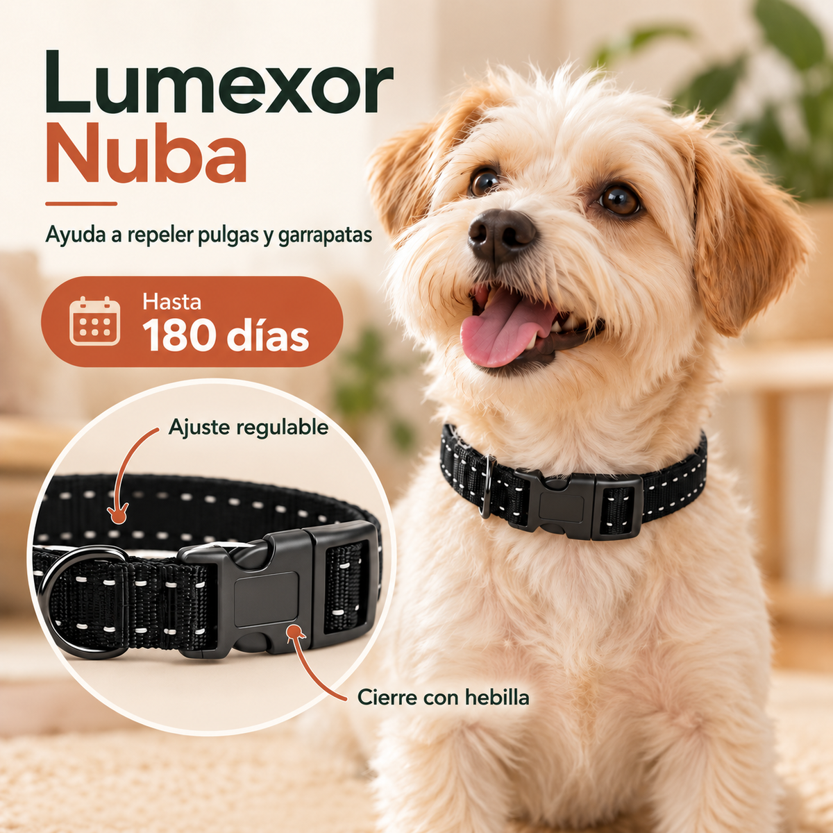 Lumexor Nuba