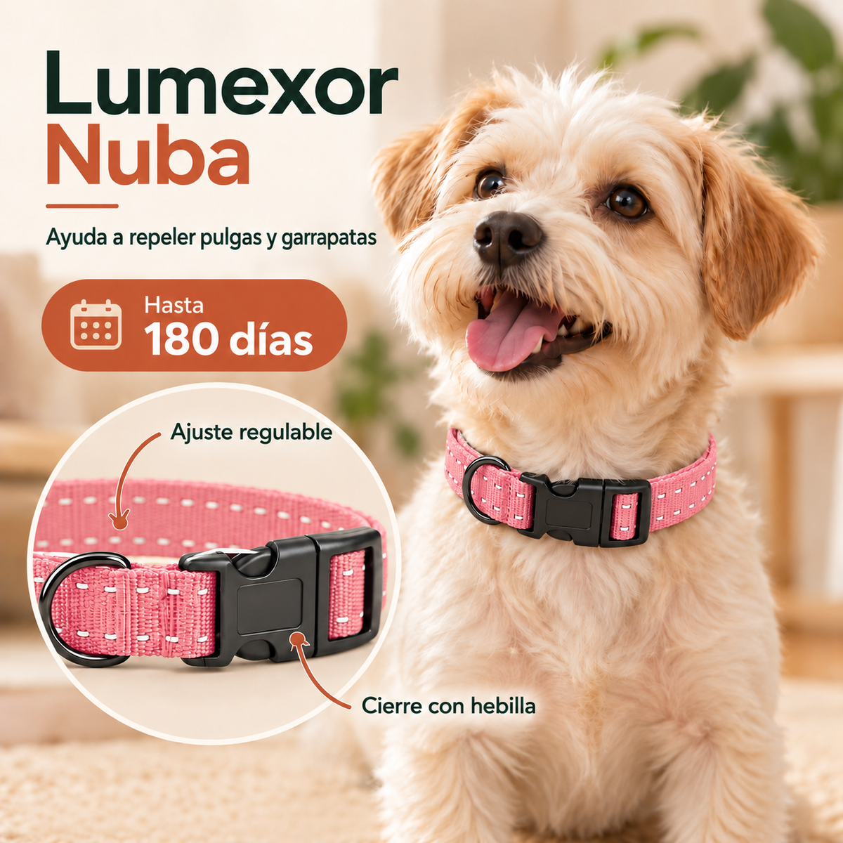 Lumexor Nuba