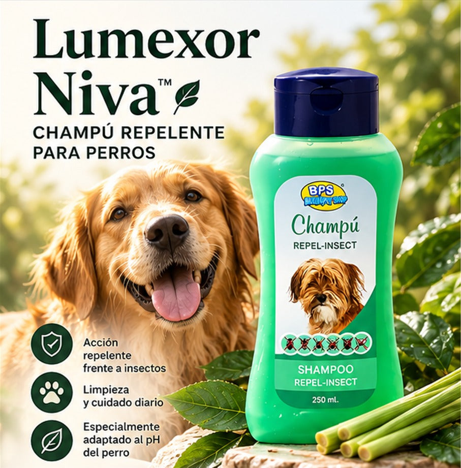 Lumexor Niva